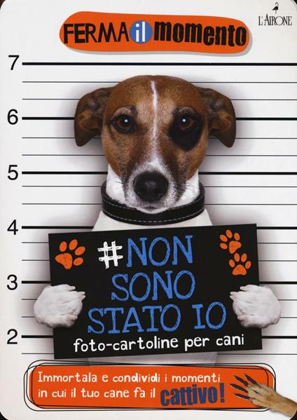 Non sono stato io. Foto-cartoline per cani - copertina