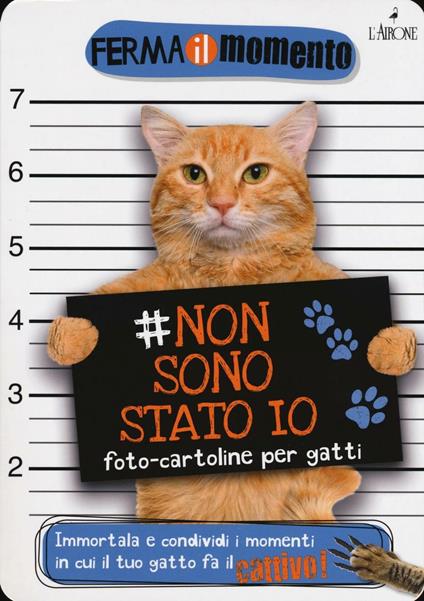 Non sono stato io. Foto-cartoline per gatti - copertina