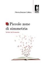 Piccole zone di simmetria. Scrittori del Novecento