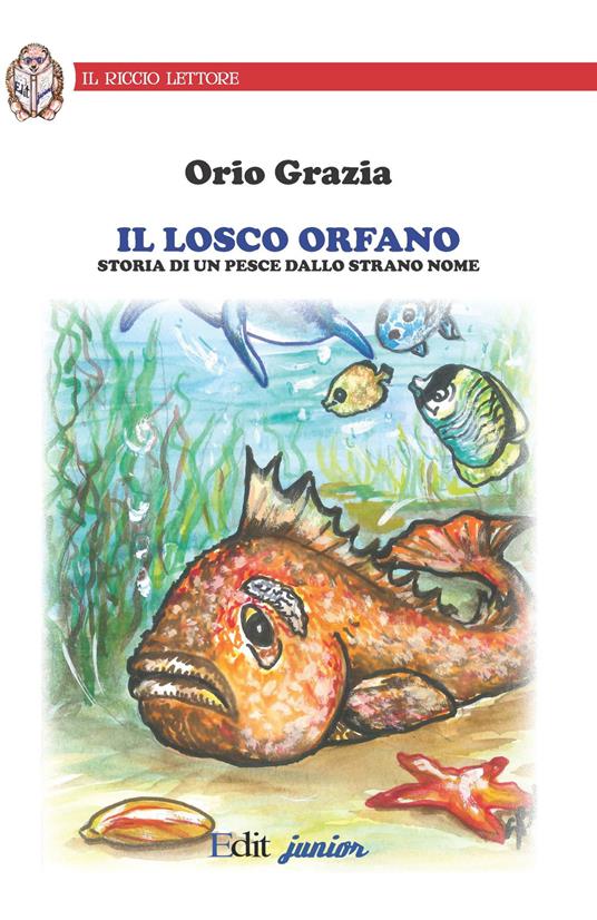 Il losco orfano. Storia di un pesce dallo strano nome. Ediz. illustrata - Orio Grazia - copertina