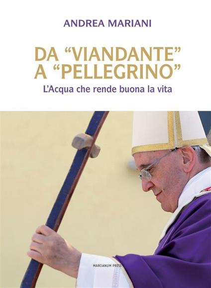 Da «viandante» a «pellegrino». L'acqua che rende buona la vita - Andrea Mariani - ebook