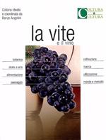 La vite e il vino