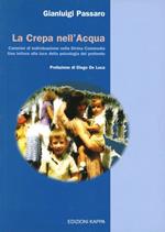 La crepa nell'acqua. Cammini di individuazione nella Divina Commedia. Una lettura alla luce della psicologia del profondo