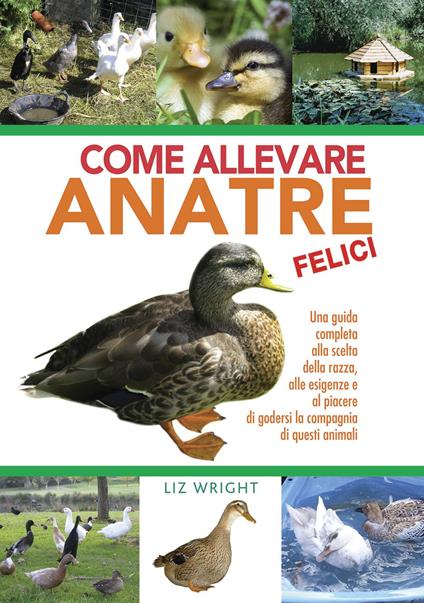 Come allevare anatre felici - Liz Wright - copertina