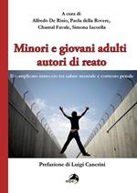 Minori e giovani adulti autori di reato. Il complicato intreccio tra salute mentale e contesto penale