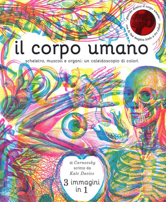 Il corpo umano. Scheletro, muscoli e organi: un caleidoscopio di colori. Ediz. a colori - Kate Davies - copertina