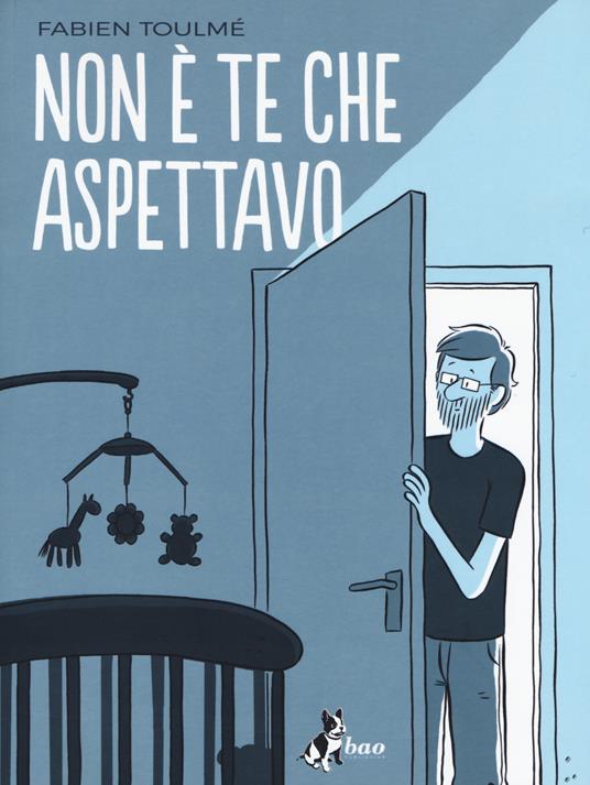 Non è te che aspettavo - Fabien Toulmé - copertina