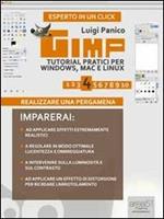 GIMP. Tutorial pratici per Windows, Mac e Linux. Livello 4