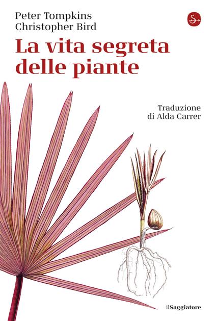 La vita segreta delle piante - Christopher Bird,Peter Tompkins - ebook