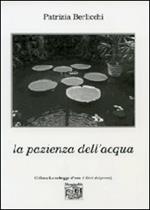 La pazienza dell'acqua