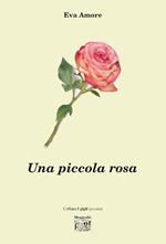 Una piccola rosa