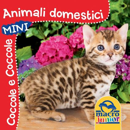 Animali domestici. Coccole e coccole mini. Ediz. illustrata - copertina