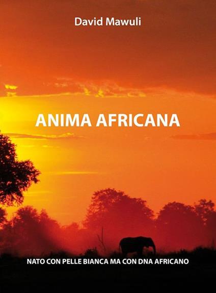 Anima africana - David Mawuli - ebook