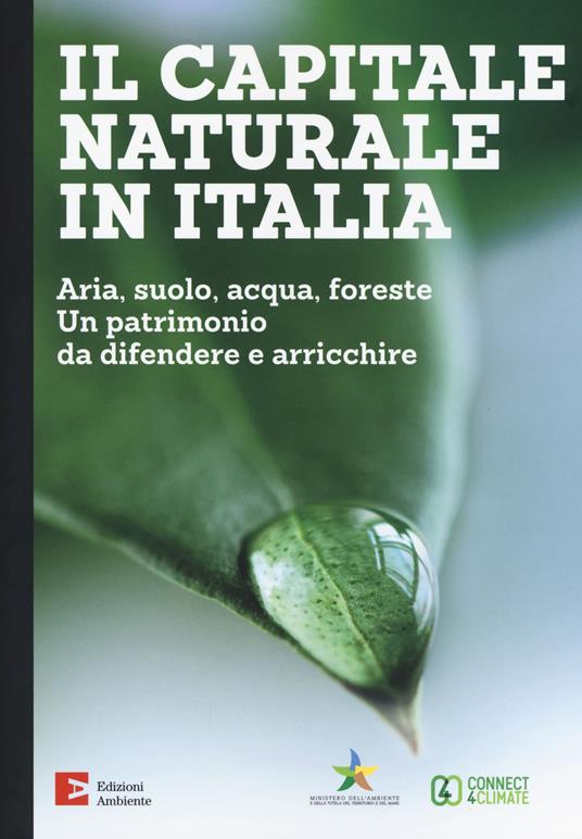 Il capitale naturale in Italia. Aria, suolo, acqua, foreste. Un patrimonio da difendere e arricchire - copertina