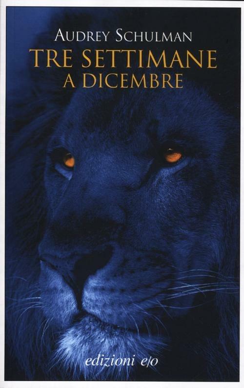 Tre settimane a dicembre - Audrey Schulman - copertina