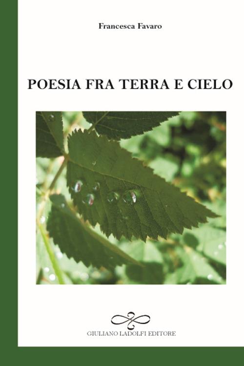 Poesia tra terra e cielo - Francesca Favaro - copertina