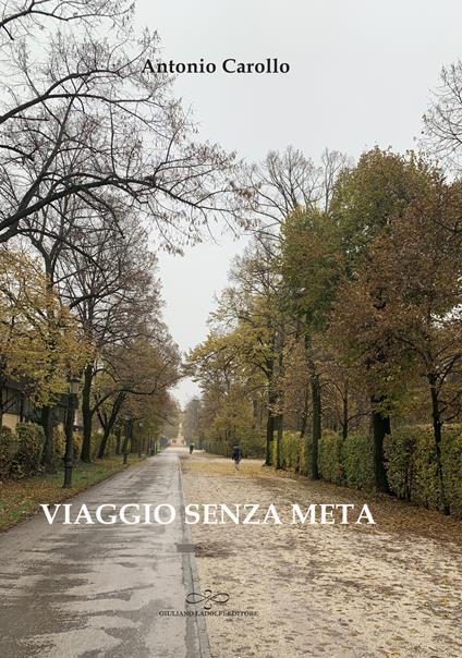 Viaggio senza meta - Antonio Carollo - copertina