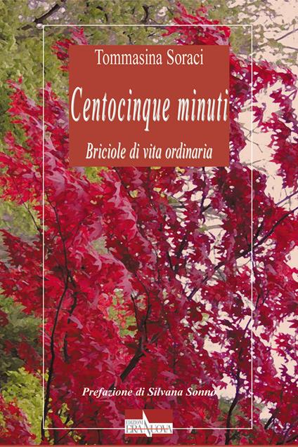 Centocinque minuti. Briciole di vita ordinaria - Tommasina Soraci - copertina