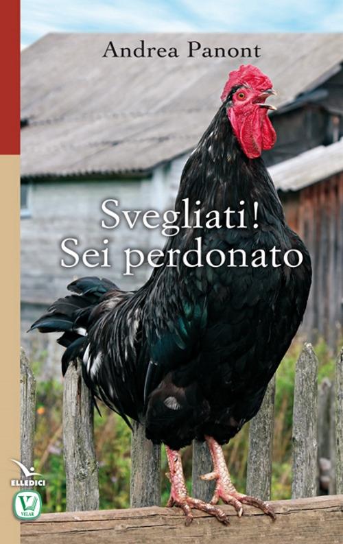 Svegliati! Sei perdonato - Andrea Panont - copertina