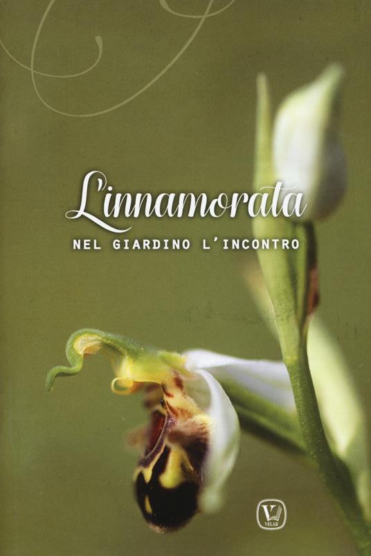 L'innamorata. Nel giardino l'incontro. Ediz. illustrata - copertina