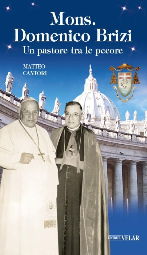 Mons. Domenico Brizi. Un pastore tra le pecore - Matteo Cantori - copertina