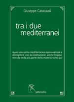 Tra i due mediterranei