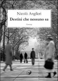 Destini che nessuno sa - Nicolò Angileri - copertina