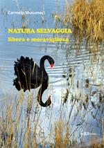 Natura selvaggia. Libera e meravigliosa. Ediz. illustrata