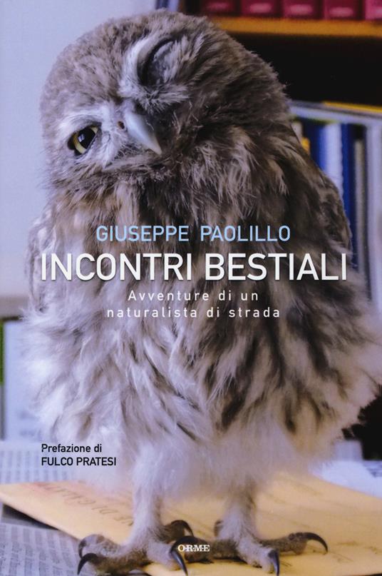 Incontri bestiali. Avventure di un naturalista di strada - Giuseppe Paolillo - copertina