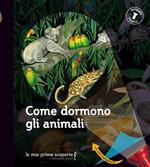 Come dormono gli animali. Lampada magica