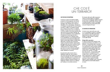 Terrarium. Mondi vegetali sotto vetro - Anna Bauer,Noam Levy - 3