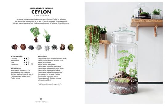 Terrarium. Mondi vegetali sotto vetro - Anna Bauer,Noam Levy - 7