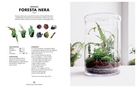 Terrarium. Mondi vegetali sotto vetro - Anna Bauer,Noam Levy - 9