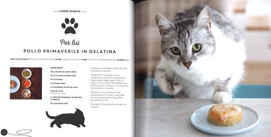 Ricette per il mio gatto... e per me! - Véronique Aïache,Laura Zuili - 3