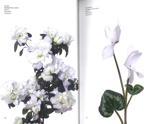 Il colore dei fiori - Michael Putnam,Taylor Putnam - 2
