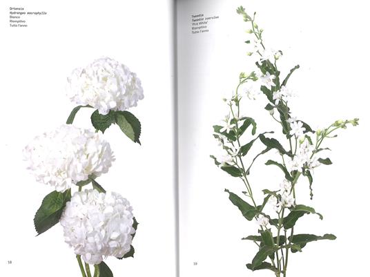 Il colore dei fiori - Michael Putnam,Taylor Putnam - 3
