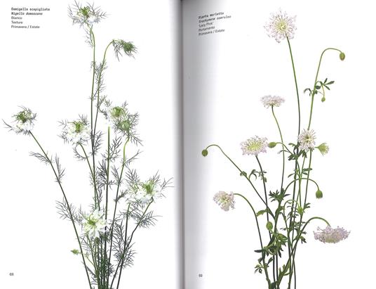 Il colore dei fiori - Michael Putnam,Taylor Putnam - 4