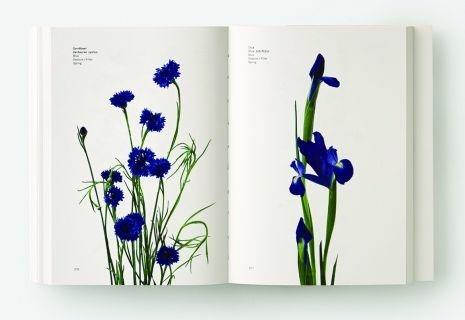 Il colore dei fiori - Michael Putnam,Taylor Putnam - 6