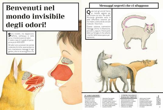 Zoodorato. Come sentono gli animali - Emmanuelle Figueras,Claire de Gastold - 3