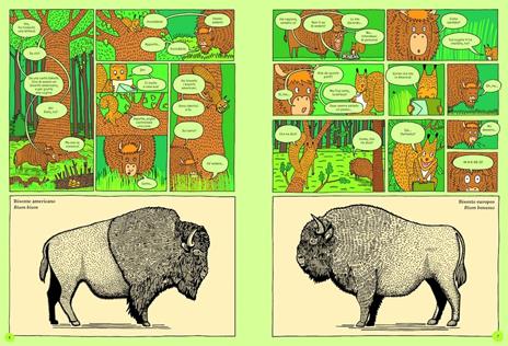 Da che parte per Yellowstone? Un viaggio alla scoperta dei parchi nazionali del mondo - Aleksandra Mizielinska,Daniel Mizielinski - 4