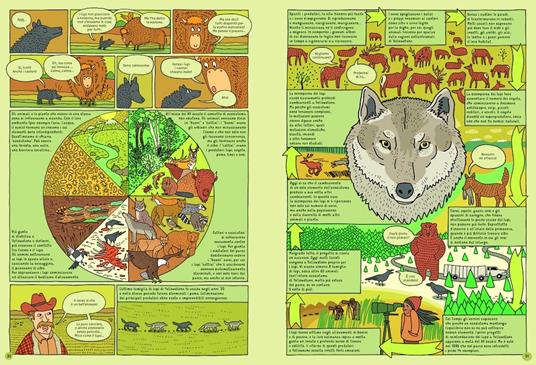 Da che parte per Yellowstone? Un viaggio alla scoperta dei parchi nazionali del mondo - Aleksandra Mizielinska,Daniel Mizielinski - 5