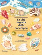 La vita segreta delle conchiglie