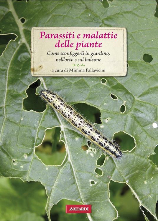 Parassiti e malattie delle piante. Come sconfiggerli in giardino, nell'orto e sul balcone - Mimma Pallavicini,R. Ammassari - ebook