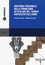 Anatomia funzionale della formazione reticolare nel tronco encefalico dell'uomo