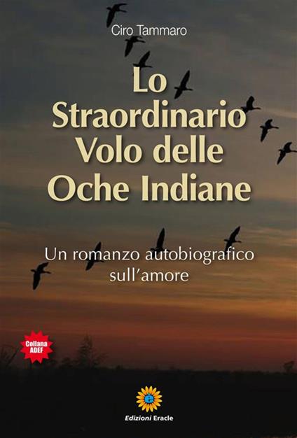 Lo straordinario volo delle oche indiane - Ciro Tammaro - ebook