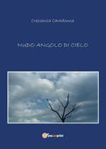 Nudo angolo di cielo