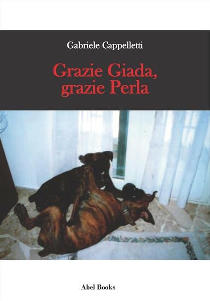 Grazie Giada, grazie Perla - Gabriele Cappelletti - ebook