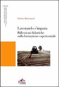 Lavorando s'impara. Riflessioni didattiche sulla formazione esperienziale - Stefano Bonometti - copertina