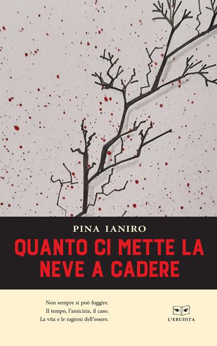 Quanto ci mette la neve a cadere - Pina Ianiro - copertina