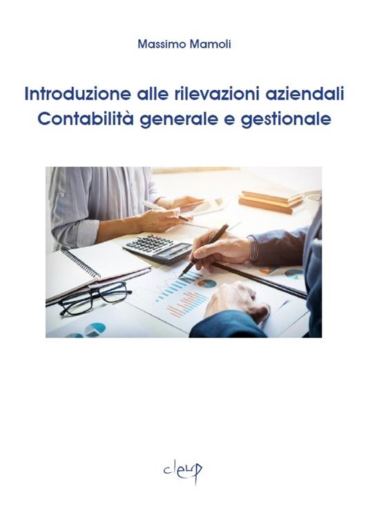 Introduzione alle rilevazioni aziendali. Contabilità generale e gestionale - Massimo Mamoli - copertina